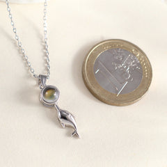 Personalisierte 925 Silber Delfin Wal Fisch Projektion Kette mit bild im Stein - Gravur Foto Geschenk für Sie