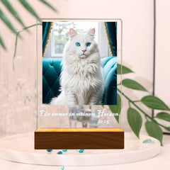 Personalisierter Haustier Bilderrahmen mit Foto & Wort - Beleuchteter LED Nachtlicht, Gedenk Geschenk für Hunde & Katzen