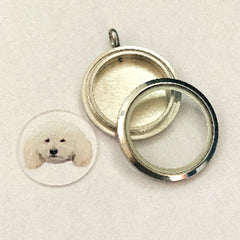 Personalisierter Hochglanz-Edelstahl-Gedenkschmuck – Rundanhänger mit Glas und Haustierfoto, mit Haaraufbewahrung