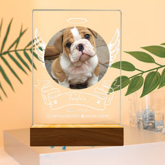 Personalisierter Beleuchteter Haustiere Bilderrahmen mit Foto und Gravur - LED Nachtlicht mit Engelsflügel,Gedenkgeschenke für Hunde&Katzen