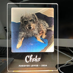 Personalisierter Haustier Bilderrahmen mit Foto & Wort - Beleuchteter LED Nachtlicht, Gedenk Geschenk für Hunde & Katzen