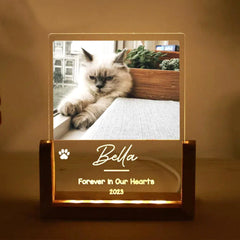 Personalisierter Haustier Bilderrahmen mit Foto & Wort - Beleuchteter LED Nachtlicht, Gedenk Geschenk für Hunde & Katzen