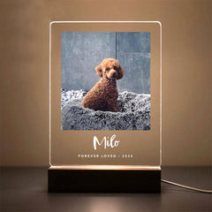 Personalisierter Haustier Bilderrahmen mit Foto & Wort - Beleuchteter LED Nachtlicht, Gedenk Geschenk für Hunde & Katzen