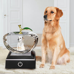 Personalisierter 3D Kristall mit Foto - Apfel Glasblock mit Lasergravur und LED-Sockel für einzigartige Erinnerungen und personalisierte Geschenke