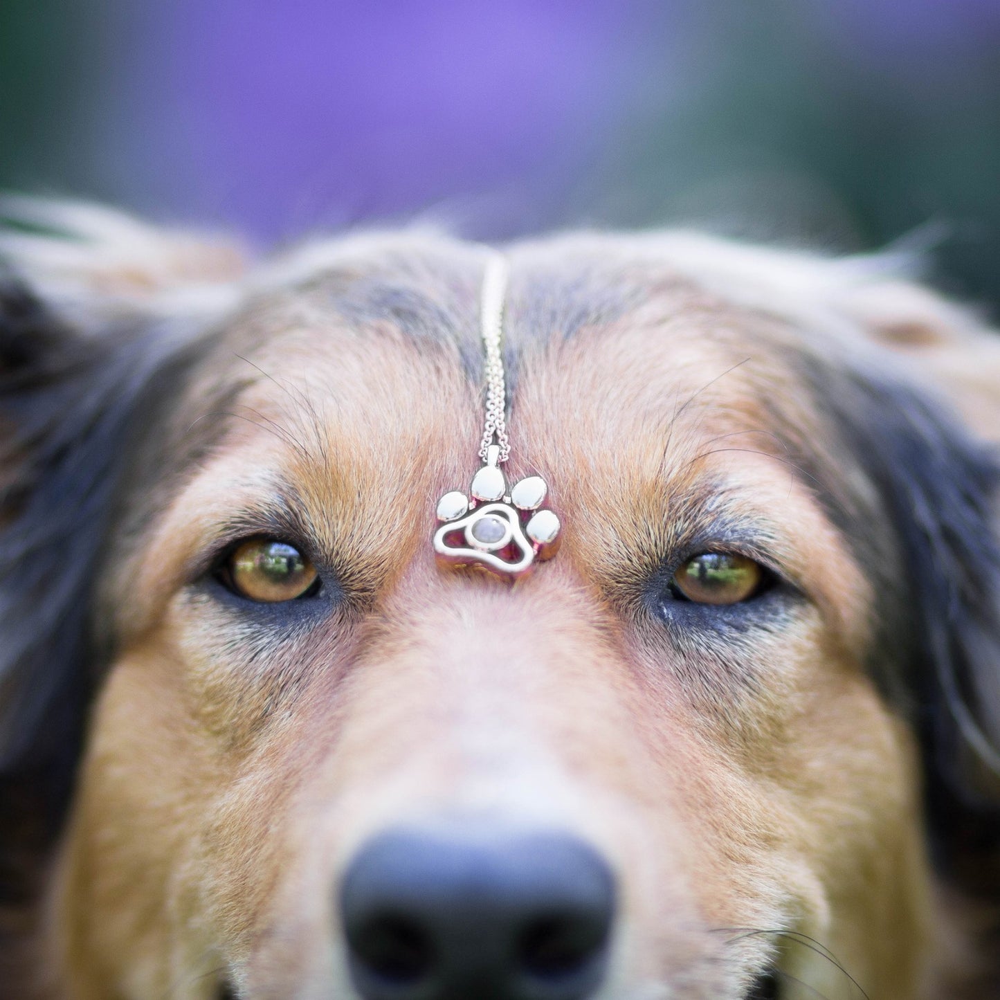 Halskette mit Bild – Hunde Pfote als personalisierter Schmuck mit Foto