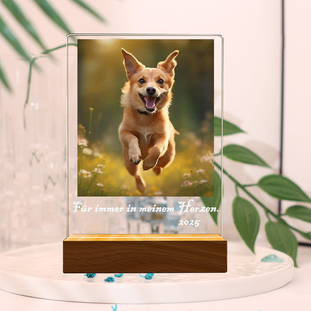 Personalisierter Haustier Bilderrahmen mit Foto & Wort - Beleuchteter LED Nachtlicht, Gedenk Geschenk für Hunde & Katzen