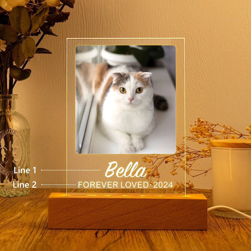Personalisierter Haustier Bilderrahmen mit Foto & Wort - Beleuchteter LED Nachtlicht, Gedenk Geschenk für Hunde & Katzen