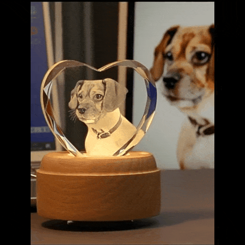 Personalisierter 3D Kristall mit Foto - Herzförmiger Mehrfacetten Glasblock mit Lasergravur und LED-Sockel für unvergessliche Erinnerungen